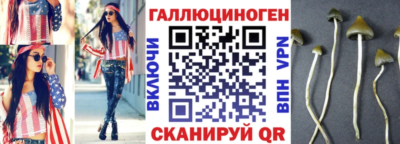 Псилоцибиновые грибы ЛСД  мориарти телеграм  Минусинск  магазин  наркотиков  omg сайт 